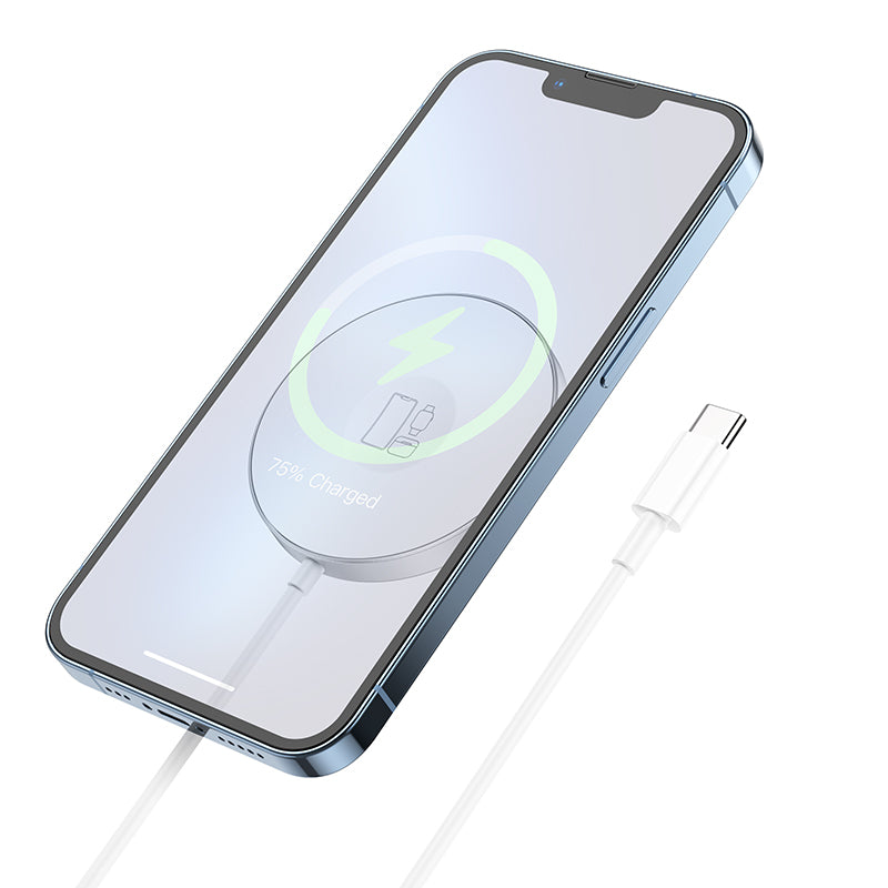 hoco Magnetic 3-in-1 15W Wireless Fast Charger CW41