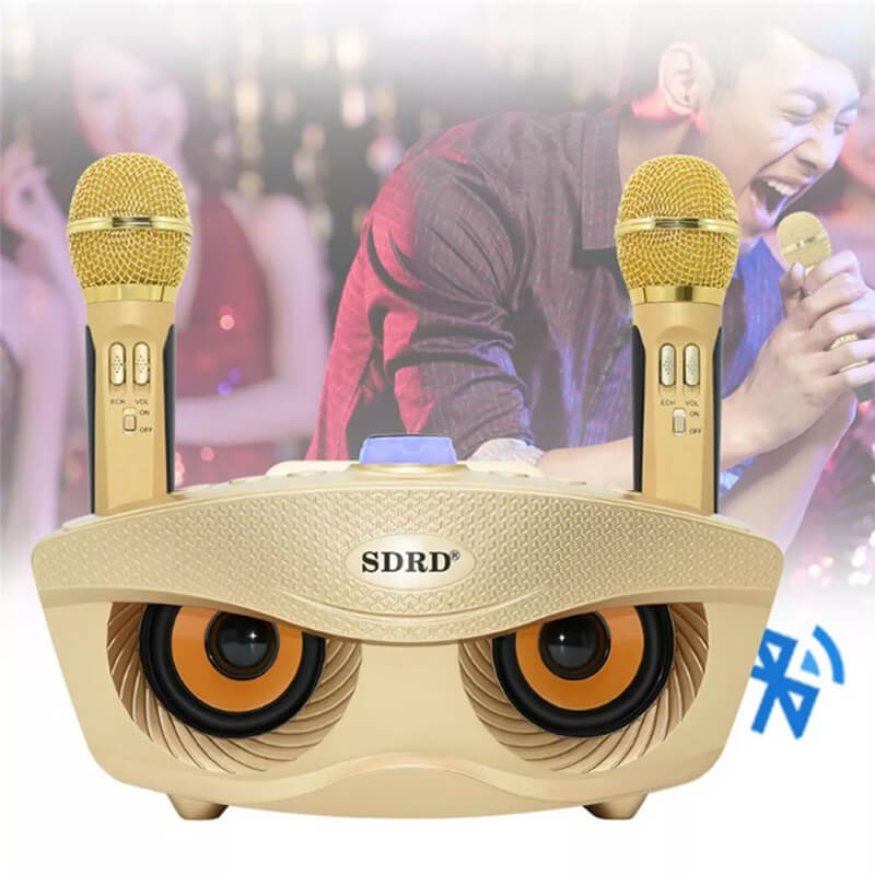 Mobie KTV Home Bluetooth Karaoke Speaker With 2 Wireless Microphones