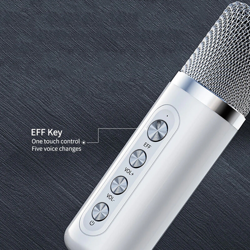 Mobie Portable Karaoke Bluetooth Speaker With 2 Wireless Microphone